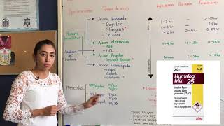 Terapia con insulinas en la Diabetes Mellitus tipo 2 Dra Paulina Crespo [upl. by Irolav]