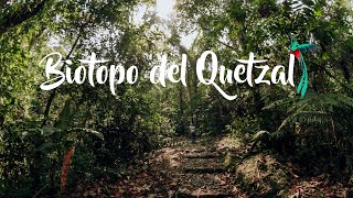 BIOTOPO DEL QUETZAL │Purulha Baja Verapaz │Guatemala │Ave Nacional El Quetzal [upl. by Eseilanna]