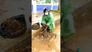 Debris Gone Clearing Culverts for Smooth Drainage [upl. by Dyanne]