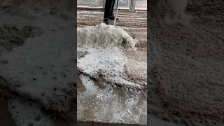 Foam scraping 289satisfying asmr carpetcleganin Newaladdin shorts [upl. by Wakeen271]