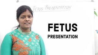 Fetus Presentation Lecture in Hindi  Lies  Attitude  Denominator  Vertex amp Breech Presentation [upl. by Matthei]