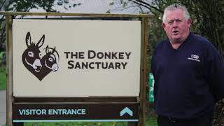 The Donkey Sanctuary Funding Video [upl. by Olimpia]