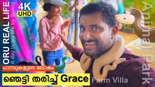 പാമ്പുകളെ കണ്ട് ഞെട്ടിയ നിമിഷം  Farm villayile alpaneram  Vlog  383 [upl. by Hartwell493]