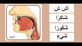 Lesson 10  practicing letter شين  sheick Ayman Suwayd [upl. by Akiwak]