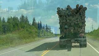 Driving along Cassiar Highway British Columbia Canada [upl. by Sucram167]