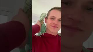 The Man Saves Green Iguana From The Jaws of a Ferocious Dog iguana lizard shorts [upl. by Hudis]