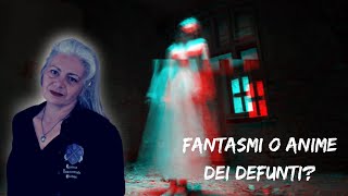 ANIME DEI DEFUNTI FANTASMI O ENERGIE  COSA ABBIAMO VISTO [upl. by Butterworth]