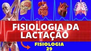 FISIOLOGIA DA LACTAÇÃO FISIOLOGIA DA PROLACTINA  FISIOLOGIA HUMANA  FISIOLOGIA ENDÓCRINA GUYTON [upl. by Armalla]