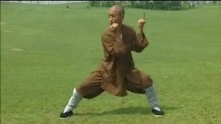 Shaolin Kung Fu Combat Styles 8 big power form 炮拳 pao quan [upl. by Golter677]