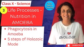 Class X Science  Life Processes  Nutrition in Amoeba  Neela Bakore Tutorials [upl. by Nabi884]