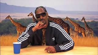 HILARIOUS Snoop Dogg narrates Animal Planet Documentary [upl. by Analart128]