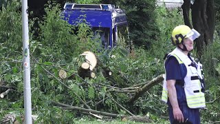 THW trägt umgekippten Baum ab mit Radlader an Bonner Rheinufer am 280724 [upl. by Clynes]