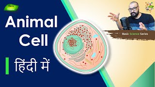 Animal Cell क्या है  संरचना और कार्य  Animal Cell Model कैसे बनाना है Basic Science Series Hindi [upl. by Acino]