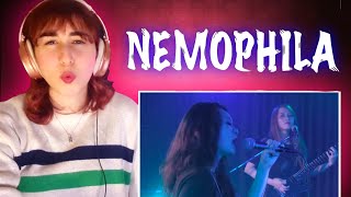 Surprising KPOP Fan Reaction to Nemophila [upl. by Yrak]