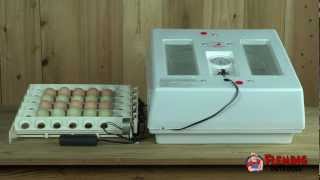 Professional Egg Incubator Kit With Turner [upl. by Niddala310]