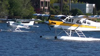 Turbo Beaver and 172N amphib landing at Kenmore [upl. by Tonl529]