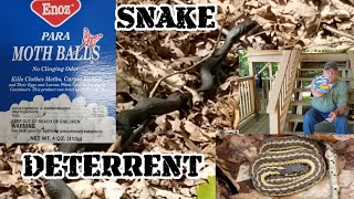 How to keep to prevent snakes from staying around your home [upl. by Eirffej]