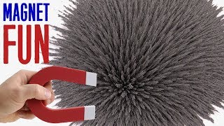 Magnet  Iron filings  Fun Magic amp Satisfying Experiment [upl. by Arturo645]