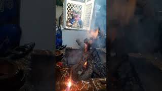 Sri Dwimukha Ganapathi homam  Sri Sesha Sai Mandir 1292024 [upl. by Kizzee]