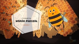 Z kamerą wśród pszczół  Odcinek 1 [upl. by Acilejna]