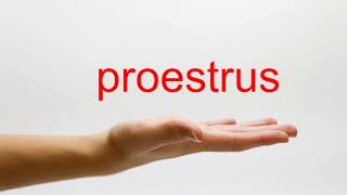 How to Pronounce proestrus  American English [upl. by Notxap]