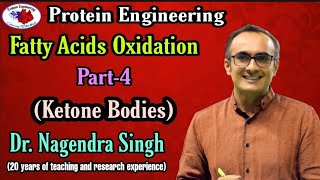 Fatty Acid Oxidation Part 4  Ketone Bodies  Ketogenesis  Ketosis  Dr Nagendra Singh  PENS60 [upl. by Ceil440]