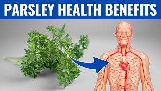 PARSLEY BENEFITS  13 Impressive Health Benefits of Parsley You Need To Know [upl. by Anoed]