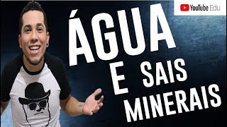 Aula 01 ÁGUA E SAIS MINERAIS │Biologia para ENEM e Vestibulares [upl. by Tati]