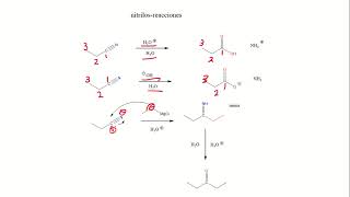 Química aromática 41 Nitrilos [upl. by Buskus]