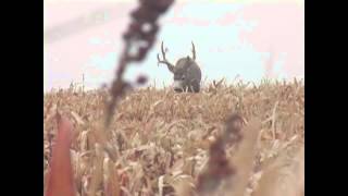 Heads Up Decoy Mule Deer Hunting Highlights [upl. by Brand590]