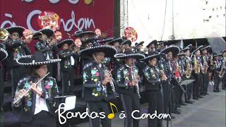 Bandas à Condom 2024  Cant Hold Us par les Leones ITP Marching Band [upl. by Kemeny]