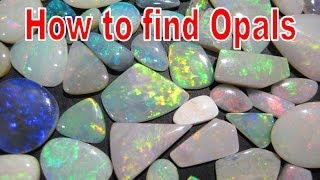 How to find Opals  Coober Pedy  Liz Kreate [upl. by Notak]