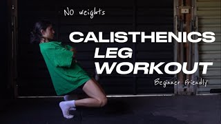 CALISTHENICS LEG WORKOUT  NO WEIGHTS beginner friendly [upl. by Jandel]