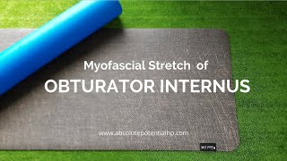 Myofascial stretch of the Obturator Internus [upl. by Adnoluy]