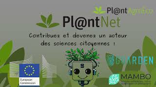 PlantNet pour les nuls [upl. by Eimyaj]