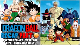 Dragon Ball  FORTUNETELLER BABA amp TIEN SHINHAN SAGA Recap  History of Dragon Ball [upl. by Norraf123]