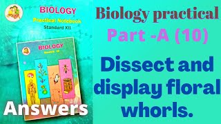 Dissect and display floral whorls biology practical class 12 experiment 10 part A answers [upl. by Juana30]