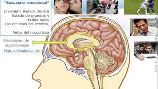 Inteligencia emocional video curso charla conferencia previo [upl. by Duster148]