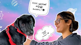 A trip with Bageerah to Varkkala Ag Vlogs Epi 64 Amritha Suressh Abhirami Suresh [upl. by Fortunna880]