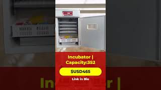 Ultimate Incubator for LargeScale Egg Hatching [upl. by Dee695]