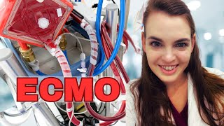 ICU Doctor explains ECMO  Life Support [upl. by Llerrahs]