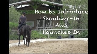 How to Introduce ShoulderIn and HaunchesIn [upl. by Islean262]