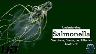 Salmonella Uncovered Symptoms Causes amp Cure [upl. by Nillor]