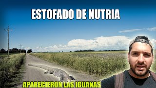 SE DIO LA IGUANA🦎 Y ESTOFADO DE NUTRIA🫕 [upl. by Cesaro]