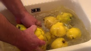 Comment faire de la gelée de coings  Quince jelly [upl. by Rothmuller]