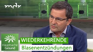 Blasenentzündungen Alternativen zu Antibiotika  Hauptsache gesund  MDR [upl. by Arbba]