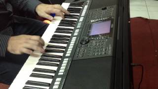 Styles Yamaha PSR S750 [upl. by Kcirevam]