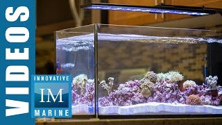 Peninsula Style Aquascaping  Peninsula 20 Gallon by Innovative Marine [upl. by Samy]