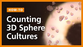 How to Count 3D Sphere Cultures Mammospheres Neurospheres Cancer Spheroids and PSC Aggregates [upl. by Lathrope925]