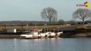 Laag water in de Maas bij Cuijk door aanvaring schip tegen stuw in Grave [upl. by Ayikat]